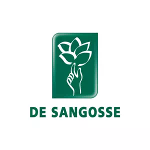 logo de l'entreprise de sangosse, client de bernat conseil foramtion